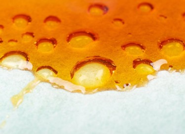 cannabis concentrates for beginners